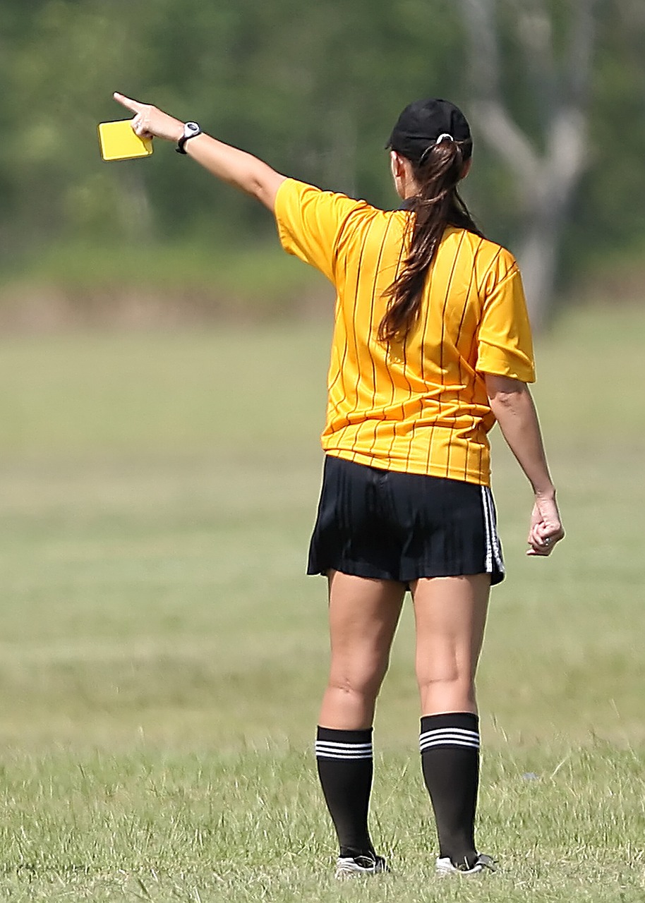 2019 Referee Fees